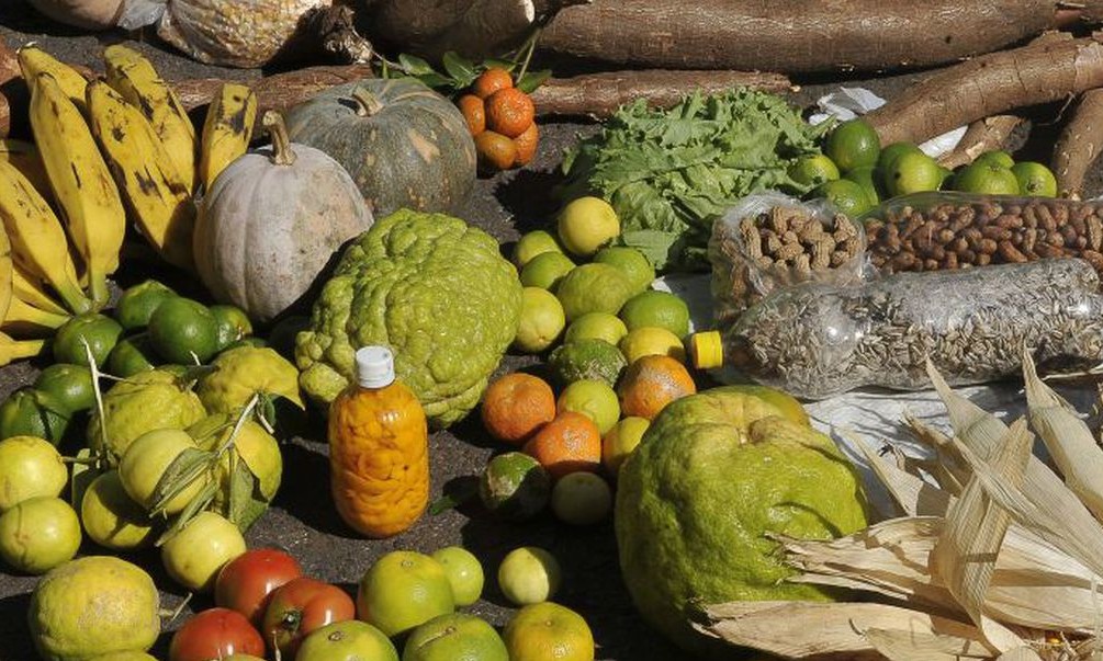 Agricultura sustentável terá novo fundo que vai distribuir US$ 68 milhões