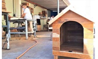 ​Reeducandos de Serra Azul produzem casinhas para cães abandonados