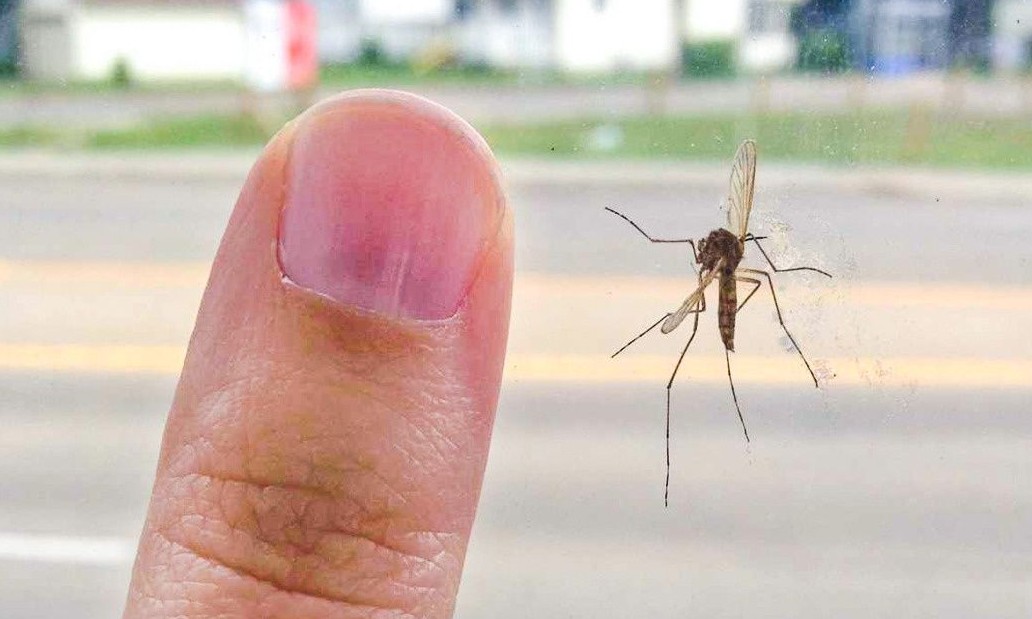Franca registra 417 casos de dengue e Saúde mantém ativas ações preventivas