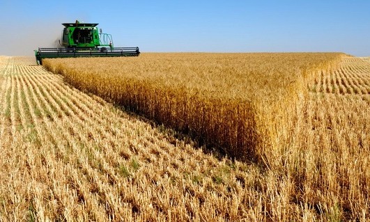 Câmara aprova criação de fundo de investimento do setor agropecuário