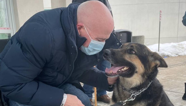 Cadela retirada de abrigo para adoção acaba salvando a vida do novo dono